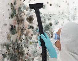 Reliable La Riviera, CA Mold Inspection Solutions